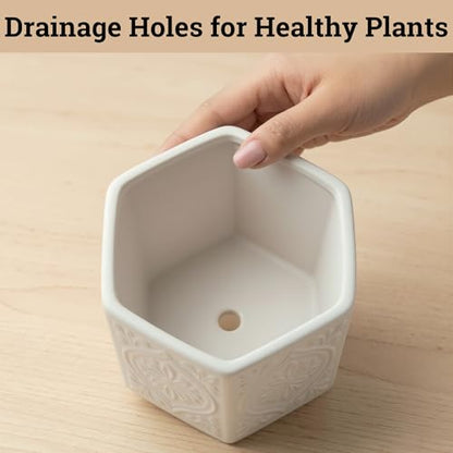 Ceramic Pots for Plants Set of 2, 6-Inch & 4-Inch Wide w/ Drainage & Saucer