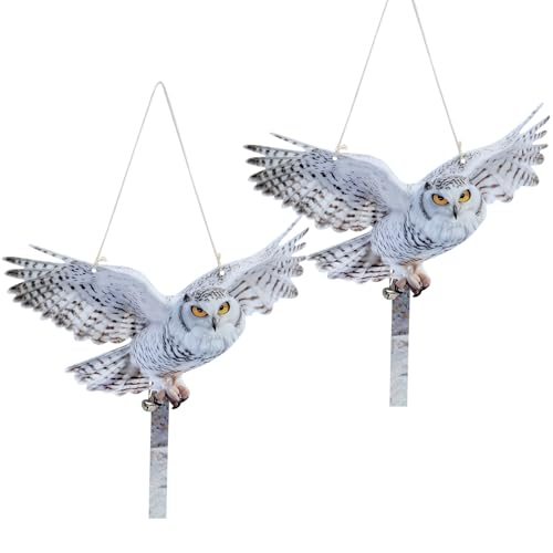 2Pack Fake Owls Reflective Owl Hanging Decoration, Barn Swallow Deterrent Dual-Side Printed Raster Fake Hawk to Scare Owl Pigeon Woodpecker Away from Patio Garden - color: 2 White Winged Hawk