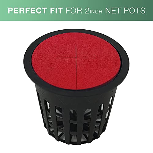 2” Neoprene Foam Inserts for Hydroponics Growing System, Clone Machine, Propagation Indoor Gardening, 100 Pack, Red - color: Red