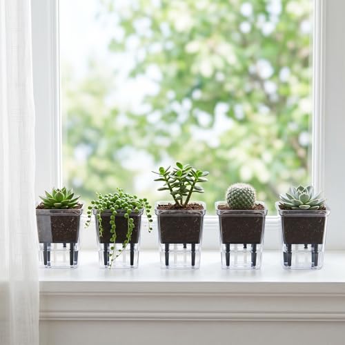 Self Watering Pots Set, Clear Self Planter Pot for Indoor Plants - size: 5Pcs Small