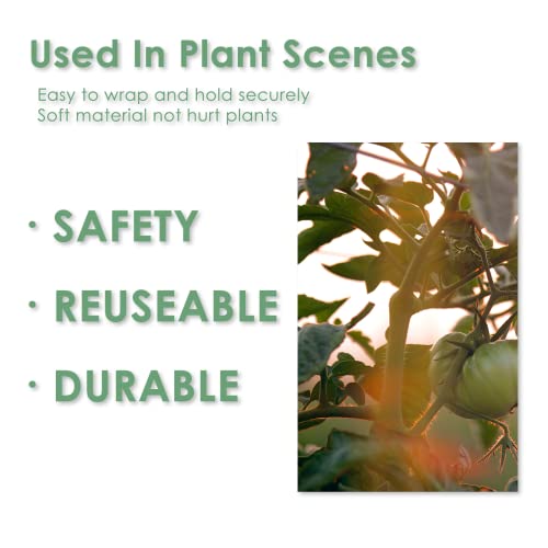 Garden Tie Green Tape, Plant Supports, Gentle On Plants (98.4ft × 0.6 inch, 1 roll, Green) - size: 98.4ft