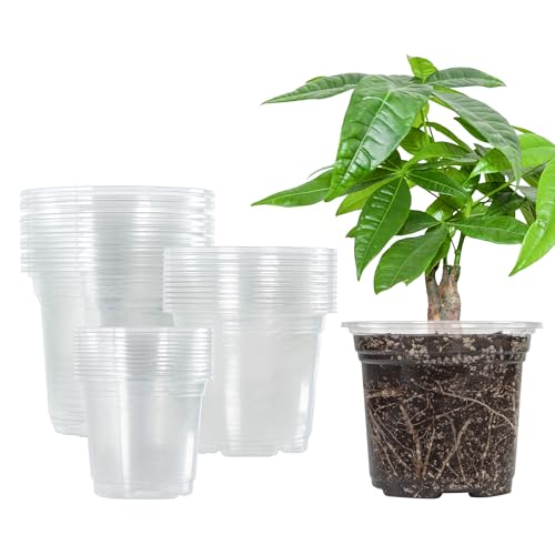 Bonviee Clear Nursery Pots with Drainage Holes, 3/4/5 Inch, 36-Pack - size: 3/4/5 Inch-36 Packs