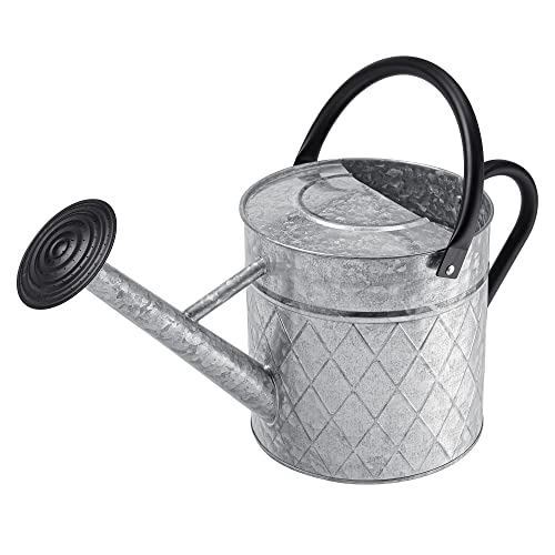 1.75 Gallon Outdoor Galvanized Metal Watering Can for Garden Plants, Vintage Zinc Watering Can with Removable Spray Spout, Ideal for Outdoor Use (Silver) - color: Silver