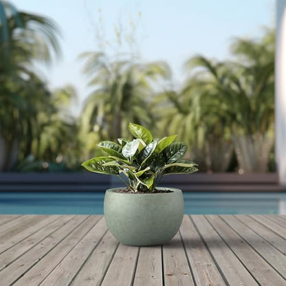Kante Large Round Bowl Mint Green Concrete Planter 19.9" Dia, Outdoor - color: Mint Green, size: 19.9" d