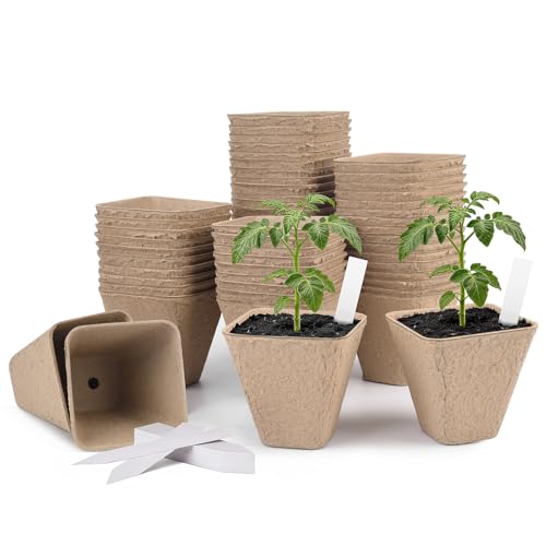 3.15 Inch Peat Pots 60 Pack, Square Seed Starting Pots with Plant Labels