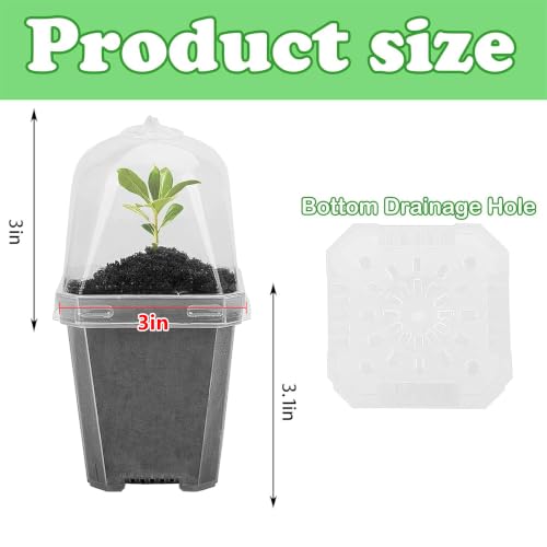 50 Pcs 3" Clear Plant Nursery Pot with Humidity Dome, Plastic Gardening Pot - color: 50pcs-white, size: 3 Inch