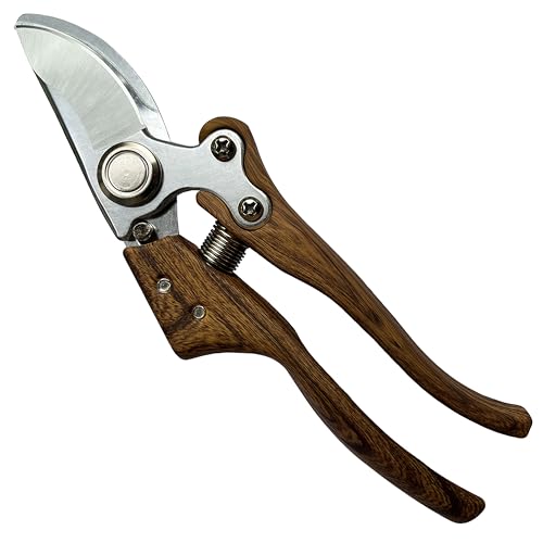 Pruning shears for gardening, Floral cutter, German Stainless Steel Blades, 1 inch Cut Capacity, Garden Snips for flowers with Non-Slip Handle, Lightweight & Ergonomic Professional