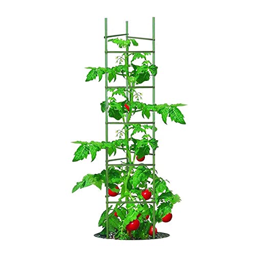Growsun Tomato Cage for Garden, Upto 73 inch 6 PackTall Tomato Trellis Garden Stakes Plant Support, Green(5ft Stake add 18 inch Adjustable Stakes) - color: Green, size: 6-Ft 6-Pack