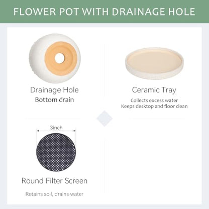 10.3 Inch Ceramic Glaze Plant Pot with Saucer, Flower Pots with Drainage Hole Mesh Net (Hemp-White) - color: Hemp White