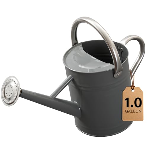 1 Gallon Metal Watering Can for Outdoor&Indoor Plants - color: Gray