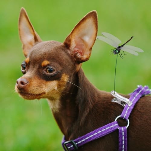 NiHome 12 Pack 3D Dragonfly Clips, Fake Garden Decor, Waterproof PVC, Black - color: Black