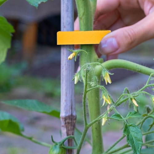 HARFINGTON Garden Plant Tape 16.4ft 25/32" Reusable Garden Plant Ties Strap Nylon Plant Twist Tie for Plant Gardening Home Office, Yellow - color: Yellow, size: 16.4ft x 25/32"