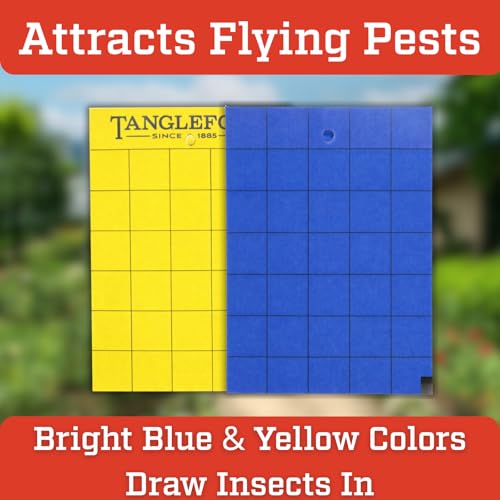 Tanglefoot Sticky Tangle-Trap Cards 20 Pack - 4"x6" – Double-Sided Yellow & Blue Hanging Traps for Garden, Plants & Greenhouse Use - size: 4"x6"