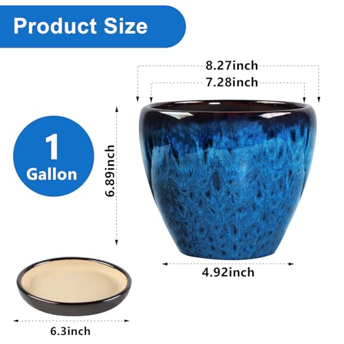 Ceramic Plant Pots With Saucer & Drainage Hole, 8 inch Indoor Flower Pots - color: Blue, size: 8 inch