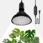 Hanging Grow Lights for Indoor Plants, 25W 5000K, LED Light Bulbs - color: Black