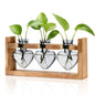Nacome Plant Terrarium with Wooden Stand, 3 Heart Bulb Glass Vases - color: Light Gray