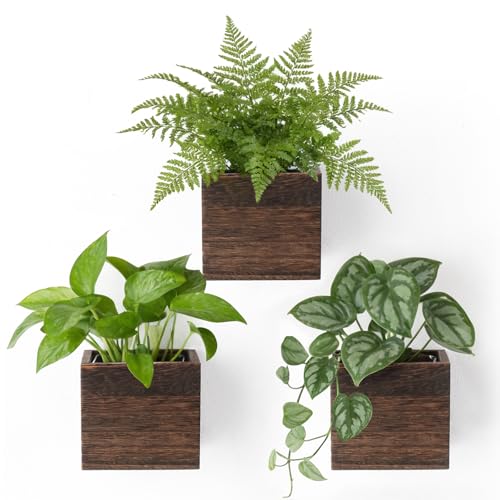 Dahey Small Wall Hanging Planters 3 Pack 4 Inch Wood Pot with Plastic Liner
