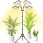 LBW Grow Light for Indoor Plants, Quad-Head Standing Plant Light, Full Spectrum, Wide Coverage, 63” Adjustable Height, Plug & Play - size: 4-Head Floor Lamp