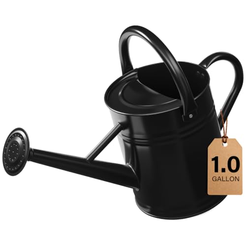 1 Gallon Watering Can for Outdoor&Indoor Plants，Black - color: Black