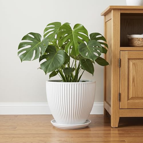 10 Inch Planter, Ceramic Plant Pots with Saucer, White - color: White, size: 10 Inch