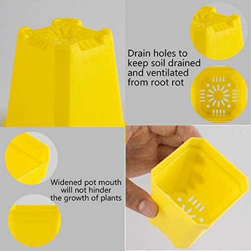 30Pcs 3" Plants Nursery Pot with Saucers Yellow, Square Planting Pots - color: Yellow