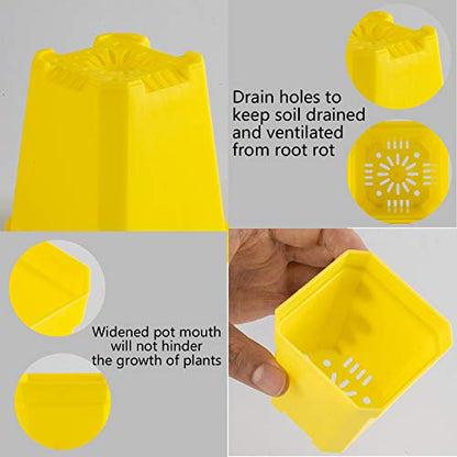 30Pcs 3" Plants Nursery Pot with Saucers Yellow, Square Planting Pots - color: Yellow