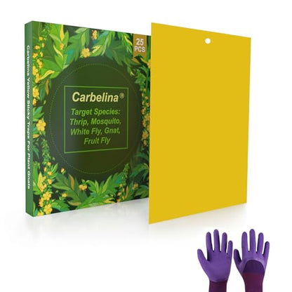 Gnat Sticky Traps for Plants -25 PCS + Kids Gardening Gloves - color: Color D-25PCS