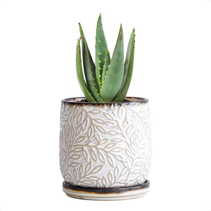 D'vine Dev Embossed Leaves Ceramic Planter, 4 in, Smoked White, 27-A-Z-1 - color: Smoked White, size: 4 Inch
