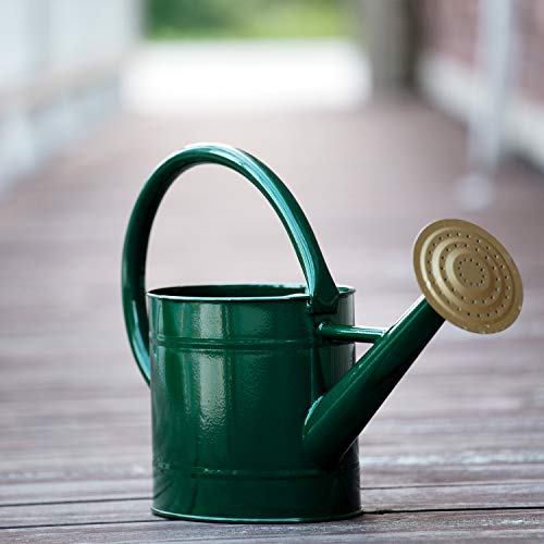 1.3 Gallon Jade Green Metal Watering Can, Removable Spout - color: Green, size: 1.3 Gallon
