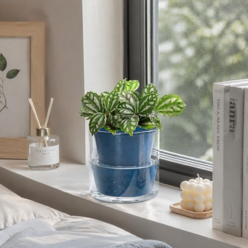 D'vine Dev Self-Watering Blue Terracotta Planter, 4 in, 3-Pack, 37-Z-A-4-T - color: Blue
