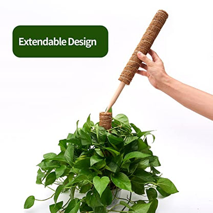 Eibikdi Moss Pole 68in for Plants Monstera 6pcs - size: 6 Packs