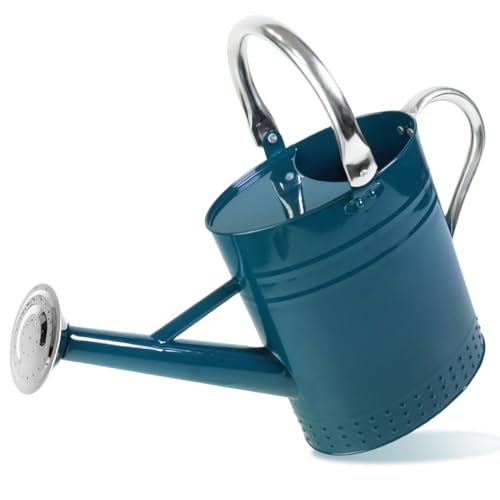 1 Gallon Metal Watering Can with Removable Spout, Nice Galvanized Steel Water Can with Embossed Design for Indoor and Outdoor Plants (Ocean Blue) - color: Ocean Blue