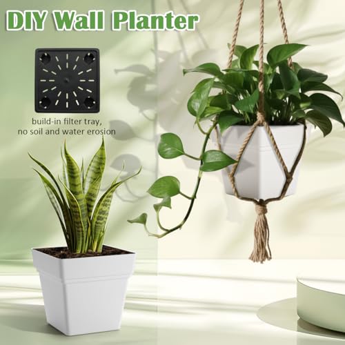 6-Pack 7 Inch Square Planters with Built-in Drainage Tray & Bottom Plug - color: White