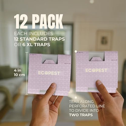 Carpet Beetle Traps – 12 Pack | Sticky Indoor Glue Boards for Carpet Beetles, Larvae & Other Crawling Insects | Non-Toxic Pest Control Trap & Monitor for Closets, Storage Areas, and More