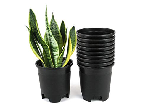 Wholesale Bulk Nursery Pot 4.5 Inch Black Plastic Planters 30-Pack 0.35 Gallon Pots for Outdoor Indoor Plants Gardening Flower with Drainage Holes - color: Black, size: 30-Pack 0.35 Gal