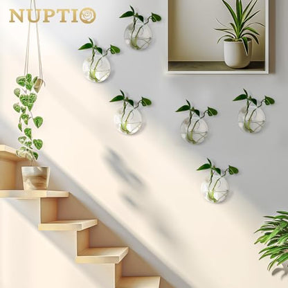 NUPTIO Glass Wall Hanging Planters: Clear Terrarium for Living Room, 12 Pcs - size: 12 Pcs
