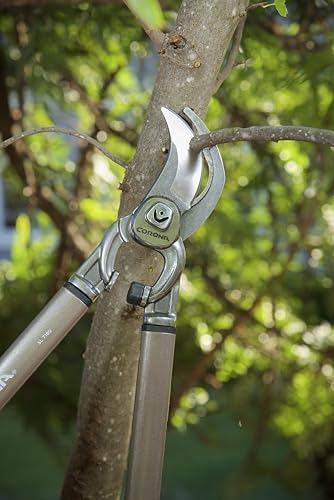 Corona Tools | 32-inch Branch Cutter DualCUT Bypass Loppers | Tree Trimmer Cuts Branches up to 2-inches in Diameter | SL 7180