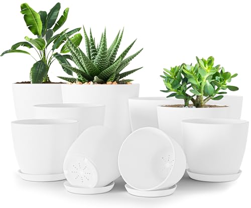 Plant Pots Indoor with Drainage, 10 Pack Multi-Size Planters Set, White - color: White, size: Pack of 10