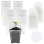 50 Pcs 3" Clear Plant Nursery Pot with Humidity Dome, Plastic Gardening Pot - color: 50pcs-white, size: 3 Inch