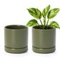 D'vine Dev 2-Pack Ceramic Pots with Saucers, Olive, 4.7 in, 94-V-B-J - color: Olive, size: 4.7 Inch