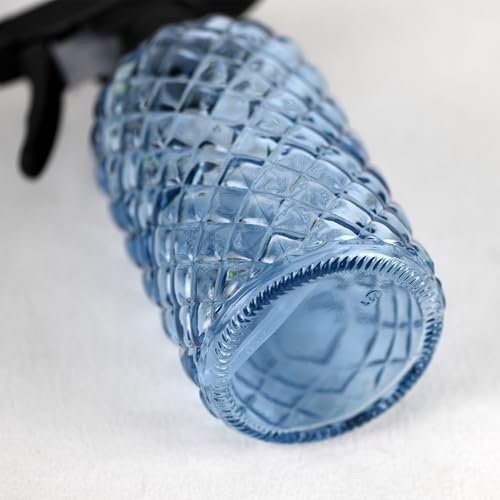 12Oz Glass Plant Spray Bottle with Black Plastic Top Pump - color: Blue