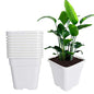 Square Nursery Pots Plant Pots Grow Pots Nursery Container Replacement for Planting Soil Plants 5 Gallon 10Pcs - color: White, size: 5 Gallon