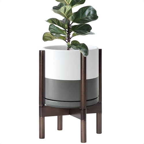 D'vine Dev Ceramic Pot with Walnut Wood Stand, White/Grey, 10 in, 55-B-X-6 - color: White/Grey Pot + Walnut Color Stand, size: 10 Inch