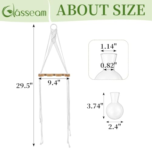Glasseam Wall Hanging Propagation Station with 3Pcs Glass Propagation Vases