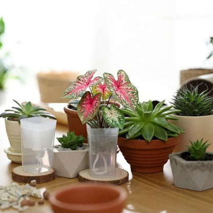 LemonRoad 20 Pack 2" Small Self Watering Pots for Indoor Plants - size: 2"
