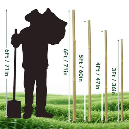65 Pcs Bamboo Plant Stakes 4 Feet, Oltara Natural Bamboo Sticks Garden Stakes for Climbing Plants Support, Bamboo Poles,Potted Plants, Tomatoes, Beans, Flowers, Trees - size: 4 Feet-65 Pack