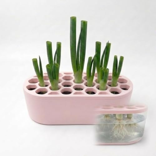 Mini Green Onion Regrower Kit, Hydroponic Scallion Planter Box with Hexagonal Honeycomb Lid, Soil-Free Indoor Herb Water Propagation Tub for Kitchen Countertop，Pink - color: Pink
