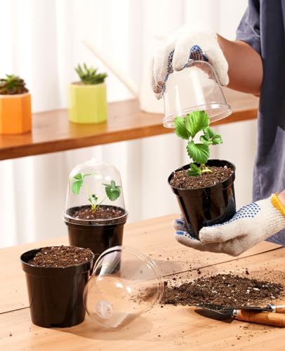 homenote 4 Inch Black Nursery Pots with Humidity Domes and Labels (30 Pcs) - color: Black-with Lid, size: 4 Inch-30 Pack