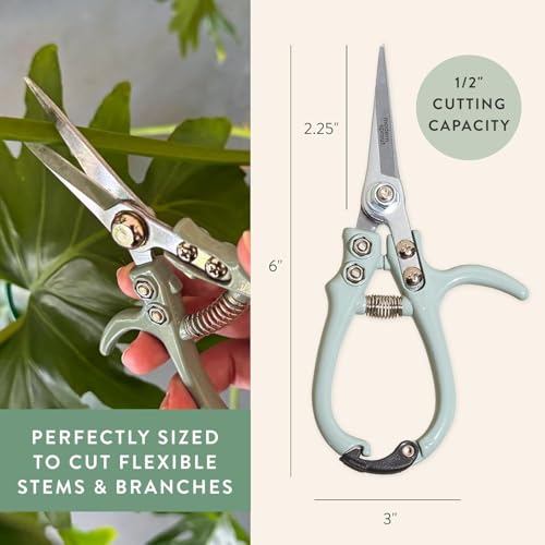 Modern Sprout Pruning Shears - Garden Snips - Herb Scissors - Multi 12-Pack - color: Multicolor - 12pcs