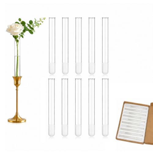 Glass Cylinder Vases for Taper Candle Holders & Plant Propagation